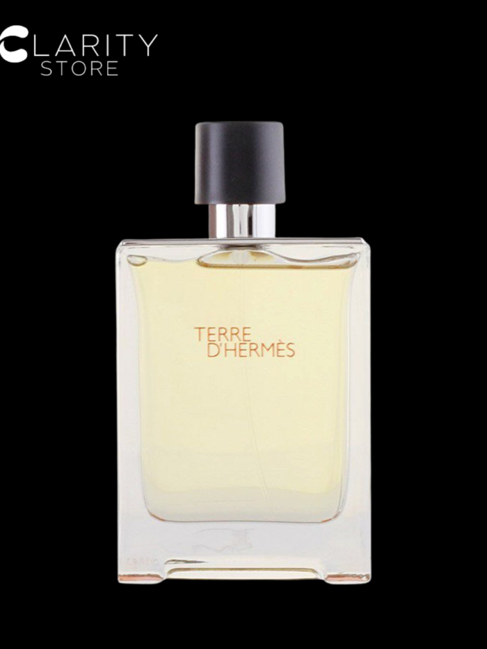 Hermes Terre D’ Hermes Edt 100ml For Men
